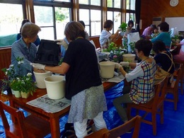 P1080549.jpg