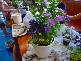 P1080567.jpg