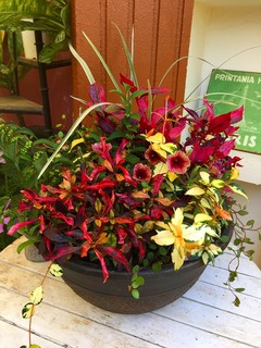 20170903140005.jpg