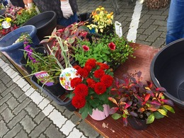 20170923100508.jpg