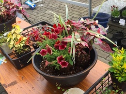 20170923102427.jpg
