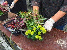 20170923103032.jpg