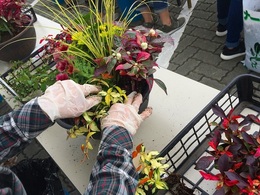 20170923103236.jpg