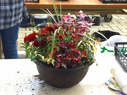 20170923104345.jpg