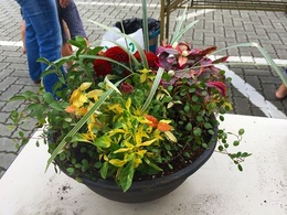 20170923104548.jpg