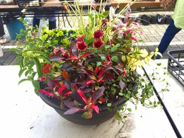 20170923104850.jpg