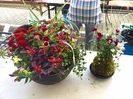 20170923105052.jpg