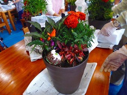 20170926104045.jpg