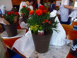 20170926104550.jpg