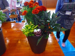 20170926105055.jpg