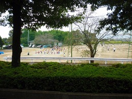 20170926110510.jpg