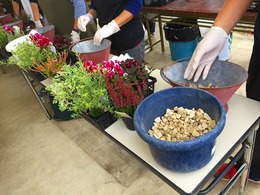 20171014101015.jpg