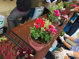 20171014103035.jpg
