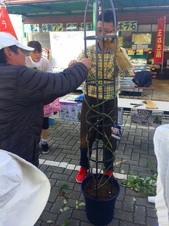 20171111114003.jpg
