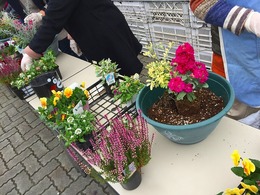 20171125102025.jpg