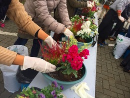 20171125103035.jpg