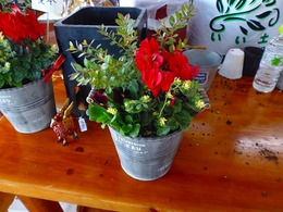 P1090205.jpg