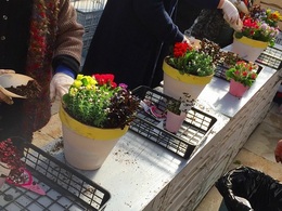 20180127105055.jpg