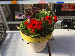 20180127112025.jpg