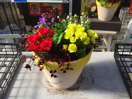 20180127112530.jpg
