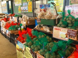 201801301600.jpg