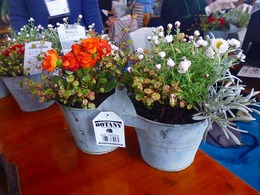 P1090440.jpg