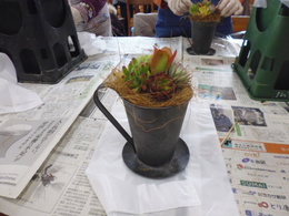 P1090665.JPG
