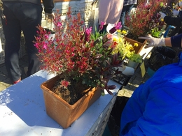 20180317103035.jpg