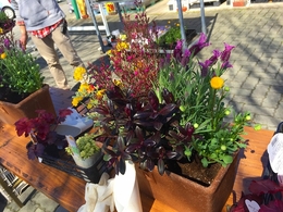 20180317104045.jpg
