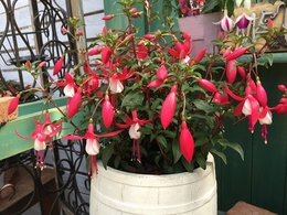 20180406132030.jpg