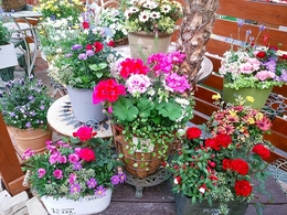 20180413140005.jpg