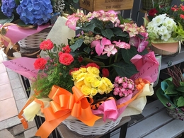 20180413150510.jpg