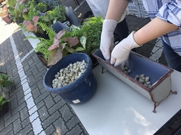 201806165209.jpg