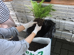 20180616522202.jpg