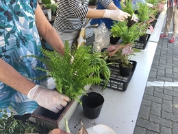 201806165226.jpg