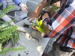 201806165288.jpg