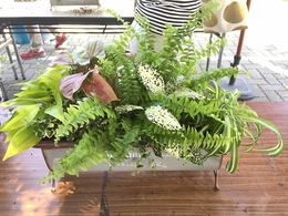 201806165304.jpg