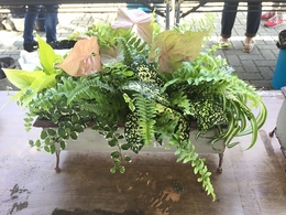 201806165306.jpg