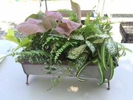 201806165308.jpg