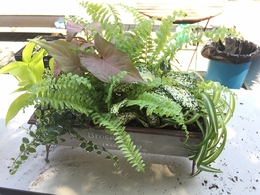 201806165311.jpg