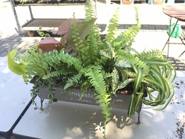 201806165314.jpg