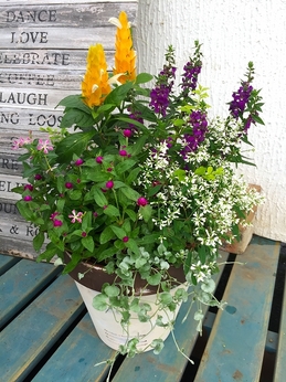 201806305450.jpg