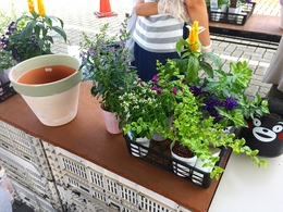 201807145661.jpg