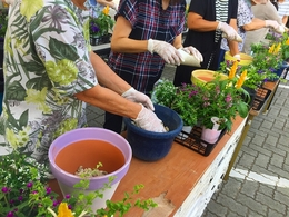 201807145663.jpg