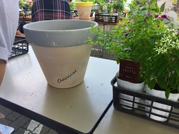 201807145672.jpg
