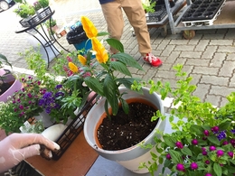 201807145674.jpg