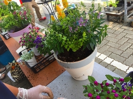 201807145693.jpg