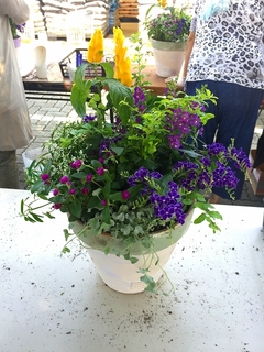 201807145733.jpg