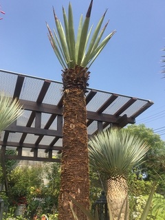 2018075777.jpg