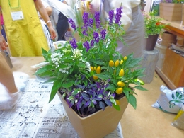 P1100348.jpg